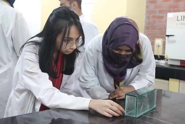 Thin Layer Chromatography